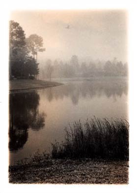 Early Morning Pond: Triebert